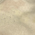 Desert ground textures